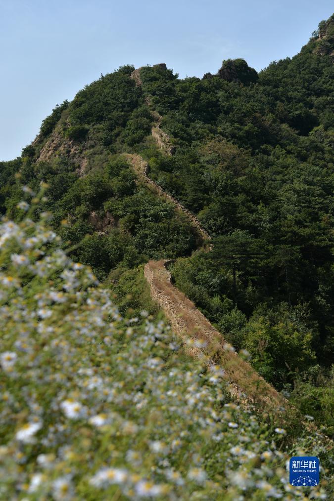 365开心川麻维护多久